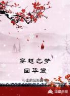 穿越之梦回华裳