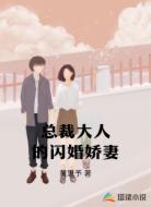 总裁大人的闪婚娇妻