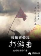 我在晋西北打游击