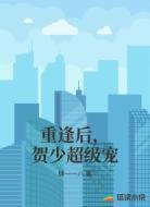 重逢后,贺少超级宠