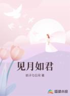 见月如君