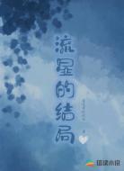 流星的结局
