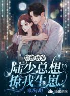 隐婚诱宠:陆少总想撩我生崽