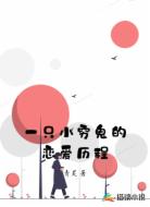 一只小穷鬼的恋爱历程