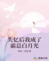 失憶后我成了霸總白月光