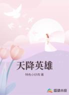 天降英雄
