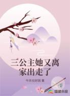 三公主她又离家出走了