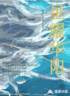 星耀华阳