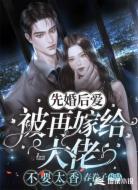 先婚后爱，被再嫁给大佬不要太香