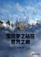 宝可梦之站在世界之巅