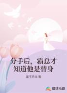分手后，霸总才知道他是替身