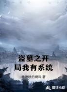 盗墓之开局我有系统