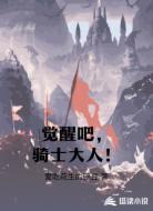 觉醒吧，骑士大人！