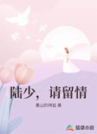 陆少，请留情