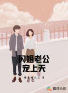 闪婚老公宠上天