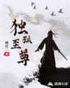 獨(dú)孤至尊