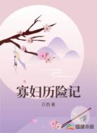 寡妇历险记