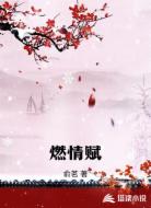 燃情赋