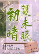 初晴夏未眠
