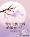 清穿之海蘭珠的榮寵一生