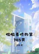 偷偷看你的第365天