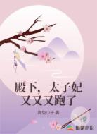 殿下，太子妃又又又跑了
