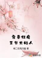 宠妻狂魔王爷太粘人