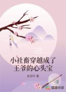 小社畜穿越成了王爷的心头宝