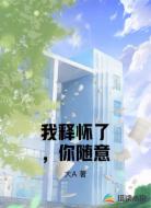 我释怀了，你随意