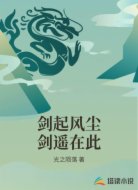 剑起风尘剑遥在此