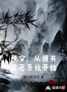 快穿,从拥有灵石系统开始