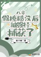 八零:假撩糙汉后被强行捕获了