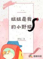 姐姐是我的小野猫