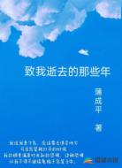致我逝去的那些年