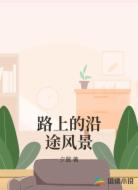路上的沿途风景