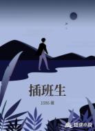 插班生