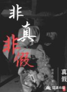 非真非假