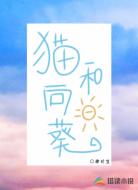 猫和向日葵