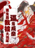 重生后我被大将军逼着成亲