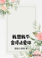 我想我不会停止爱你