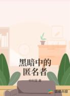 黑暗中的匿名者