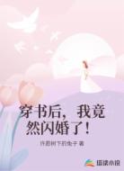 穿书后,我竟然闪婚了!