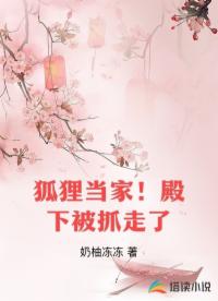 狐狸当家！殿下被抓走了