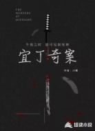 宜丁奇案