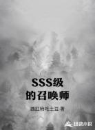 SSS级的召唤师