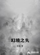 幻境之失