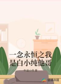 一念永恒之我是白小纯他哥