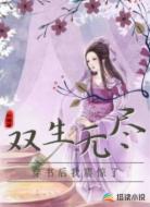 双生无尽：穿书后我震惊了