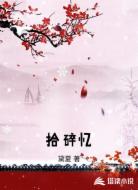 拾碎忆