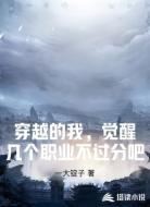 穿越的我，觉醒几个职业不过分吧